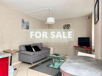 Apartment in the Heart of Alencon