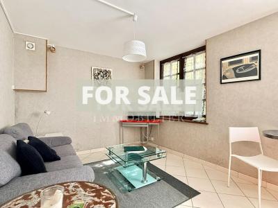 Apartment in the Heart of Alencon