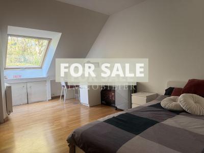 Detached Country House with Landscaped Garden