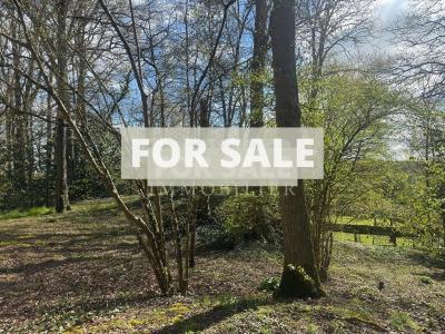 Detached Country House with Landscaped Garden