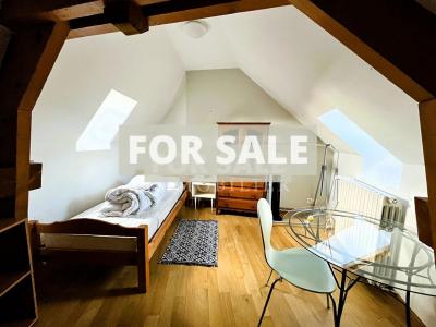 Duplex Apartment in Alencon, Normandy