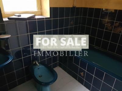 Countryside House with Outbuildings to Renovate