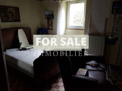 Countryside House with Outbuildings to Renovate