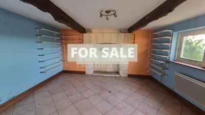 Countryside House with Outbuildings to Renovate