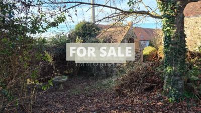 Countryside House with Outbuildings to Renovate
