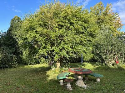 Beautiful Manor House with Landscaped Gardens