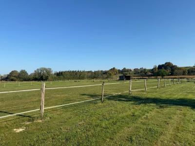 Renovated Farmhouse With Swimming Pool and Land