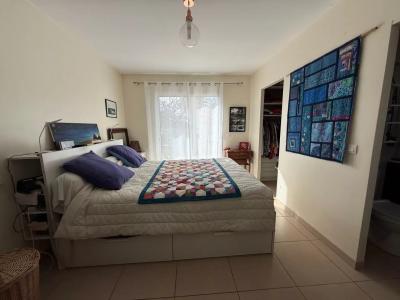 Lovely House With Swimming Pool