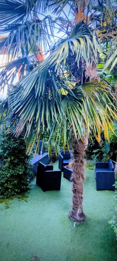 Beautiful House With Lovely Garden