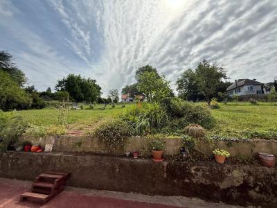 Fully Renovated House With Terrace And Garden