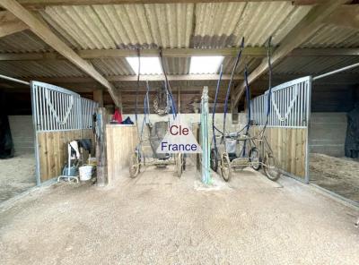 Equestrian Structures and Land For Sale