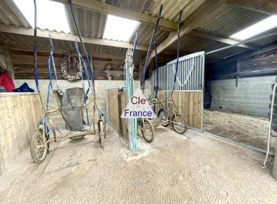 Equestrian Structures and Land For Sale