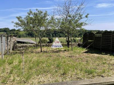 Habitable House with More Potential with Garden