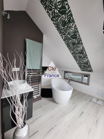 Magnifique Loft Renove