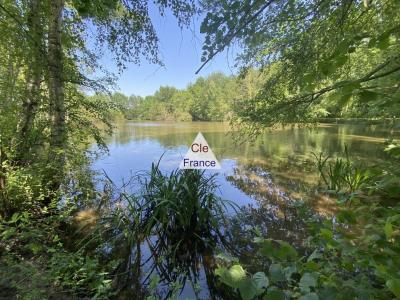 Fishing Lake in the Quiet of the Countryside