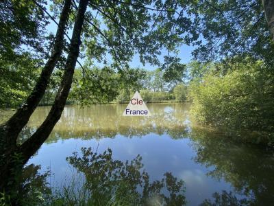 Fishing Lake in the Quiet of the Countryside