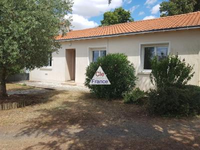 Modern Single Storey House with Garden