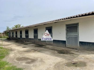 Equestrian Centre on 1,5 Hectares