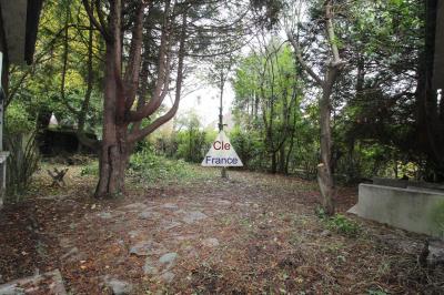 Detached House with Garden