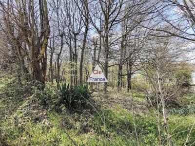 Building Plot For Sale, Mature Wooded Land