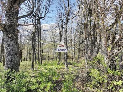 Building Plot For Sale, Mature Wooded Land