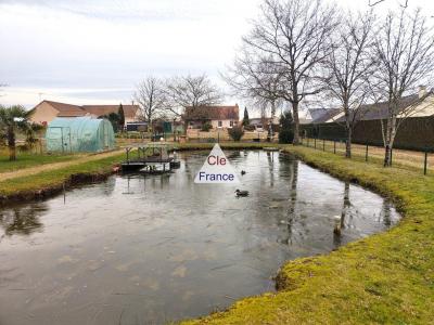 Detached Family House with Large Pond in Garden