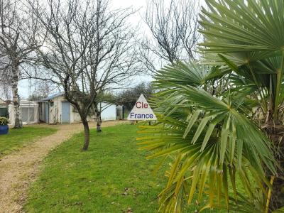 Detached Family House with Large Pond in Garden