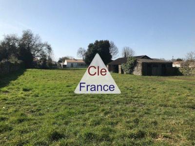 Bois De Cene