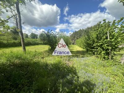 Detached Country House with Landscaped Garden