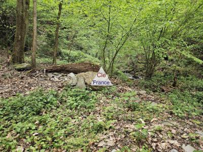 Woodland For Sale with Stream and Waterfall