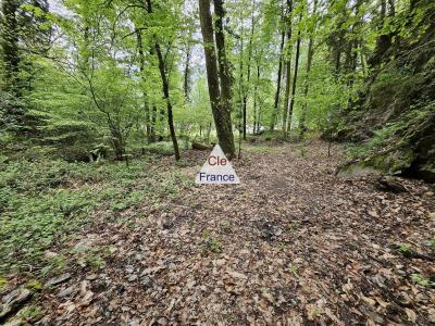 Woodland For Sale with Stream and Waterfall