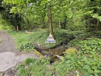 Woodland For Sale with Stream and Waterfall