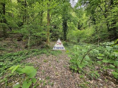 Woodland For Sale with Stream and Waterfall