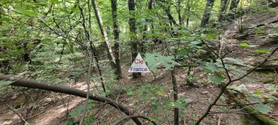 Parcel of Woodland with Building