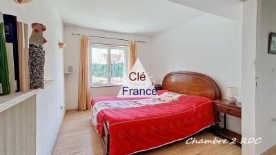 Spacious Renovated Farmhouse with Studio Bonus