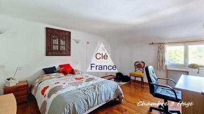 Spacious Renovated Farmhouse with Studio Bonus