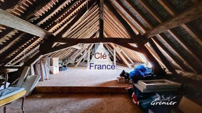 Spacious Renovated Farmhouse with Studio Bonus