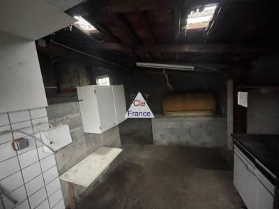 Traditional House with Garden