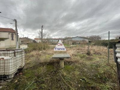 Traditional House with Garden