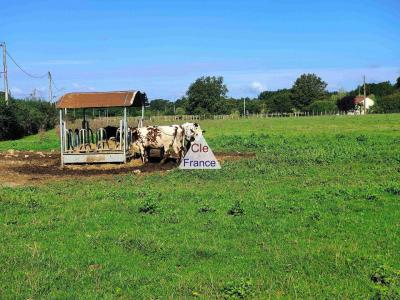 Detached Country House, Superb Renovation Opportunity