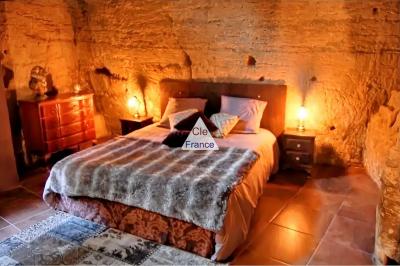Exceptional Troglodyte Cave House with Cinema