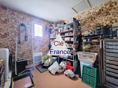 Detached House with Garden