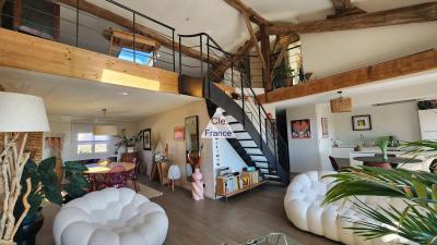 Splendide Loft T5 193ma