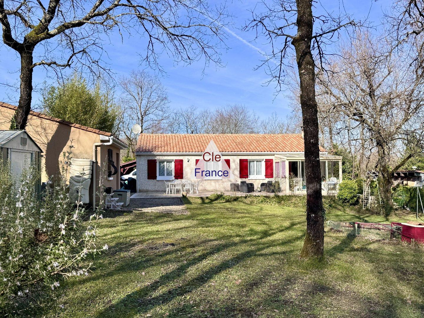 Main Photo