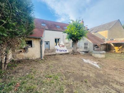 Maison De Ville Avec Jardin Arbore- Gien Centre- Bien Rare A