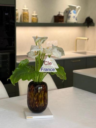 Apartment with Large Terrace, Balcony