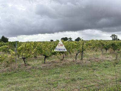 Sigogne. Beaux Volumes Et Construction De Qualite Pour Ce Plain-pied Hors D\'eau Hors D\'air De 180