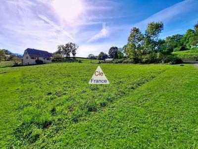 Terrain De 1000 Ma
