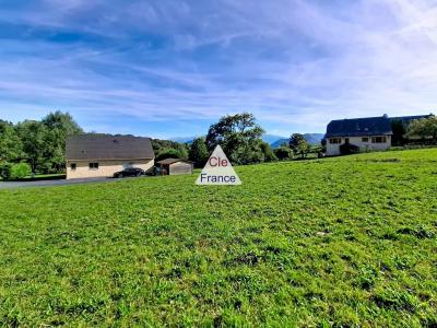 Terrain De 1000 Ma
