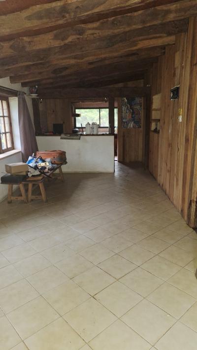 Character House in Woodland Setting